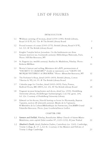 A Cultural History of Hair in the Middle Ages Volume 2
