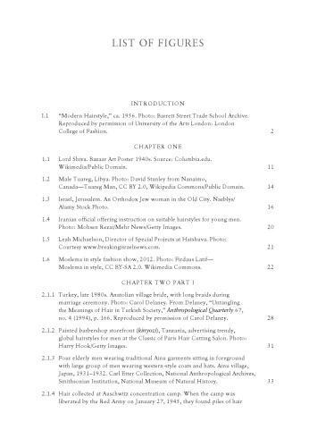 A Cultural History of Hair in the Modern Age Volume 6