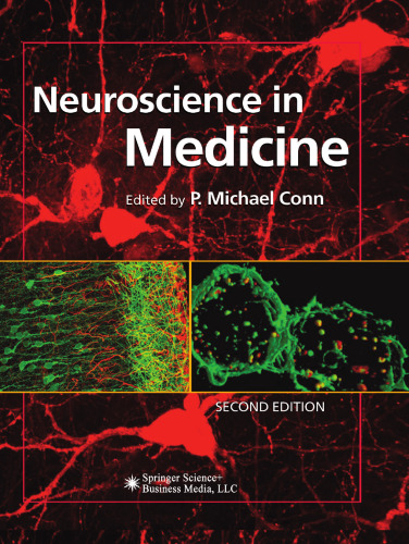 Neuroscience in Medicine