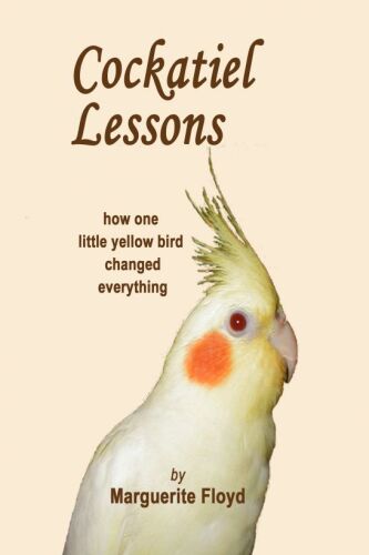 Cockatiel Lessons