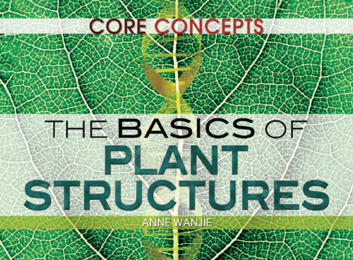 The Basics of Plant Structures