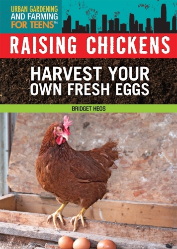 Raising Chickens