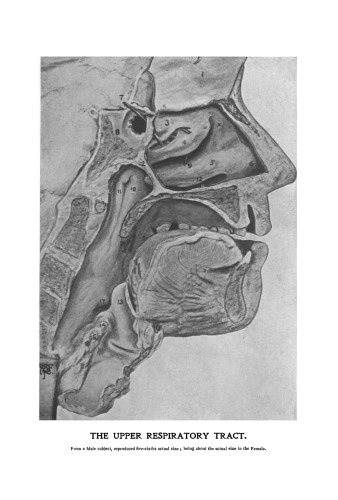 Diseases of the Upper Respiratory Tract. The Nose, Pharynx and Larynx