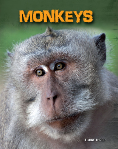 Monkeys