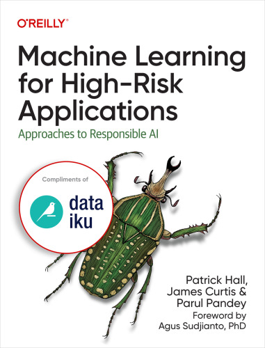 Machine Learning for High-Risk Applications: Approaches to Responsible AI