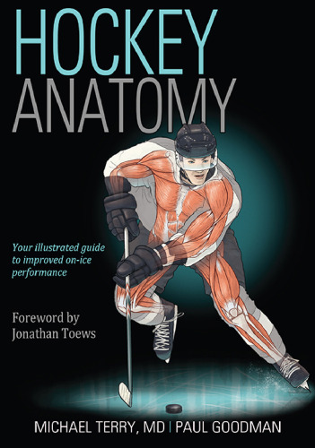 Hockey anatomy
