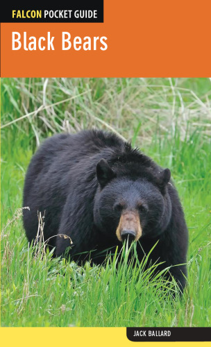 Black Bears