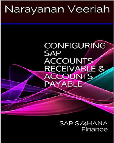 Configuring Financial Accounting in SAP ERP