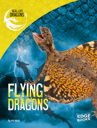 Flying Dragons