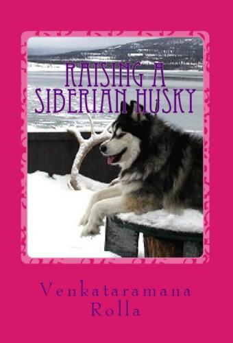 Raising a Siberian Husky