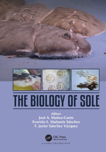 The biology of sole