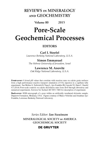 Pore Scale Geochemical Processes