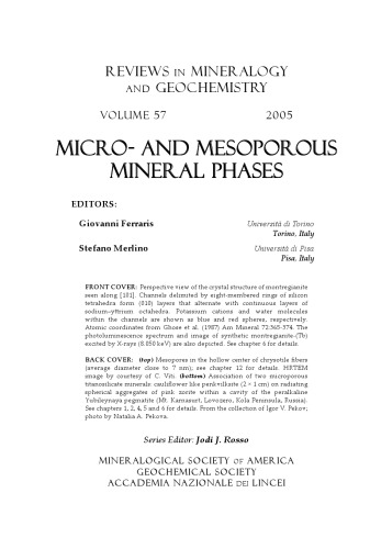 Micro- and Mesoporous Mineral Phases