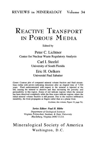 Reactive Transport in Porous Media