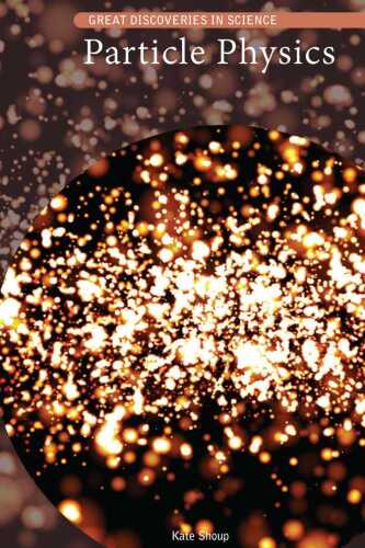 Particle Physics