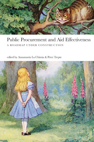 Public Procurement and Aid Effectiveness: A Roadmap under Construction