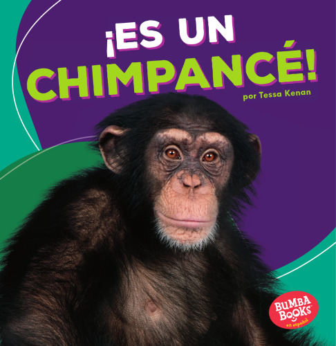 ¡Es un chimpancé! = It's a Chimpanzee!