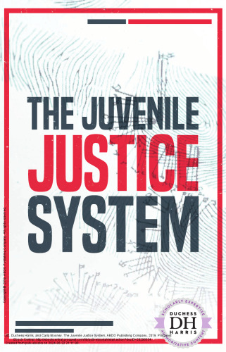 The Juvenile Justice System