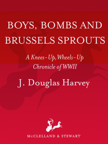 Boys Bombs and Brussels Sprouts