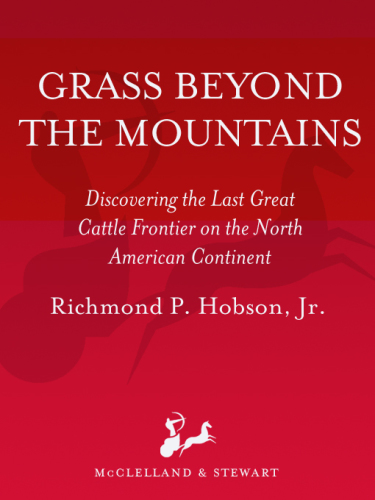 Grass Beyond the Mountains