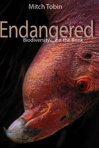 Endangered : Biodiversity on the Brink