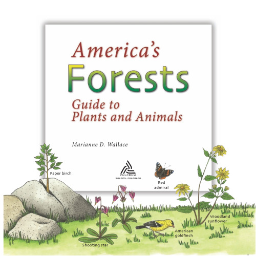 America's Forests : Guide to Plants and Animals