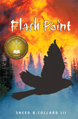 Flash Point