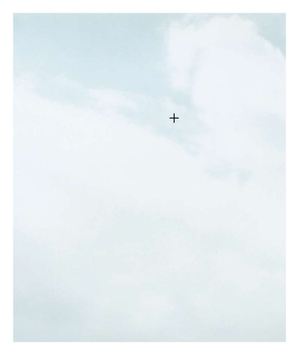 O'Donnell + Tuomey: Selected Works