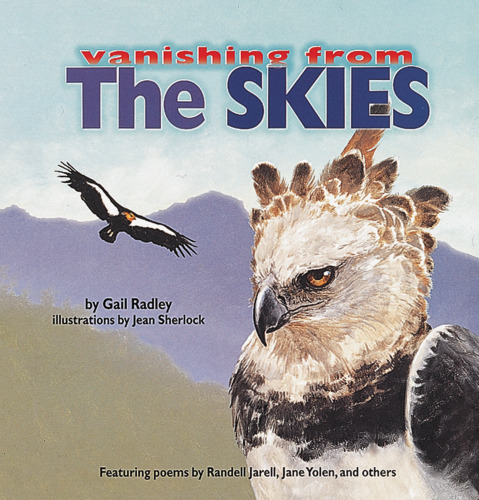 The Skies (Vanishing from)
