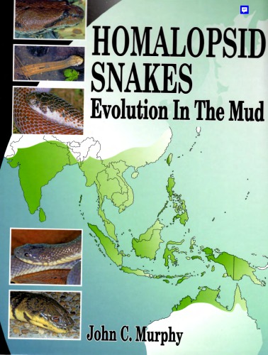 Homalopsid Snakes, Evolution in the Mud