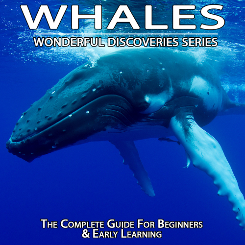 Whales: Wonderful Discoveries