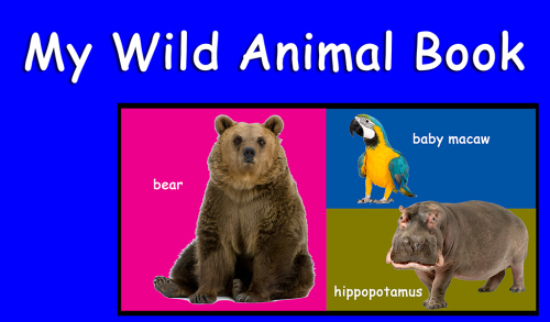My Wild Animal Book
