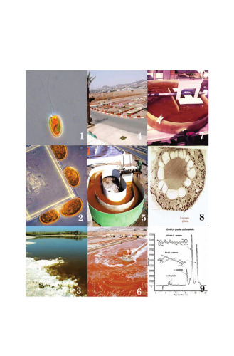 The alga Dunaliella : biodiversity, physiology, genomics and biotechnology