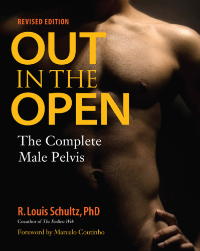 Out in the open: the complete male pelvis