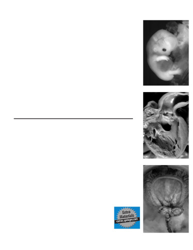 Handbook of Pediatric Autopsy Pathology