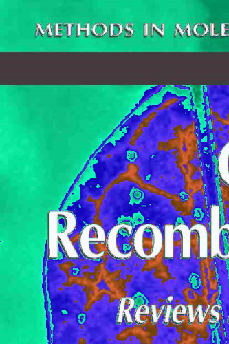 Genetic Recombination: Reviews and Protocols (Methods in Molecular Biology, 262)