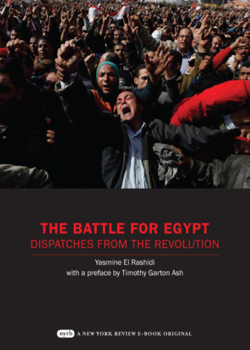 The battle for Egypt : dispatches from the revolution