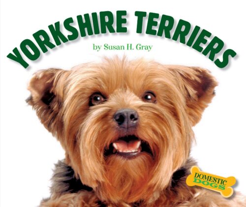 Yorkshire Terriers