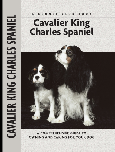 Cavalier King Charles Spaniel