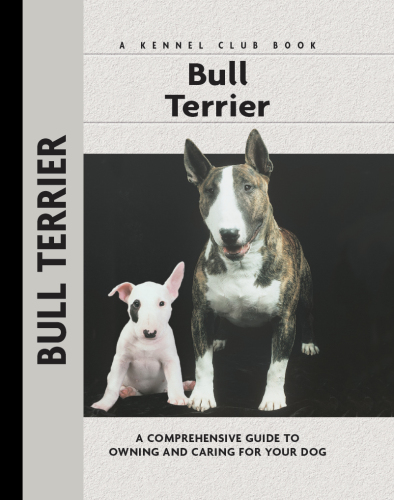Bull Terrier
