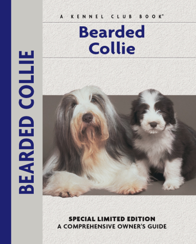 Bearded Collie