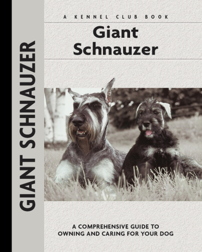Giant Schnauzer