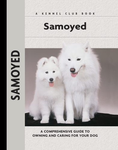 Samoyed