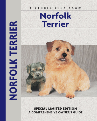 Norfolk Terrier