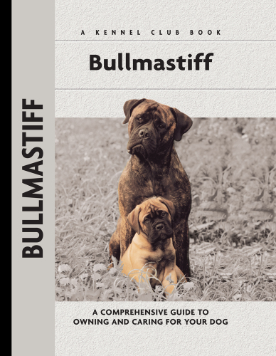 Bullmastiff