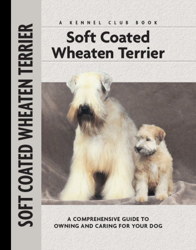 Soft Coat Wheaten Terrier