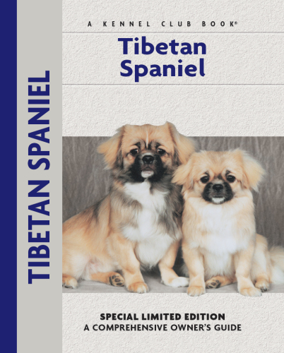 Tibetan Spaniel