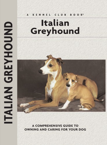 Italian Greyhound