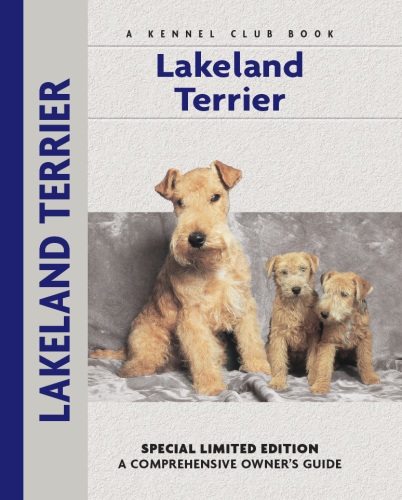 Lakeland Terrier