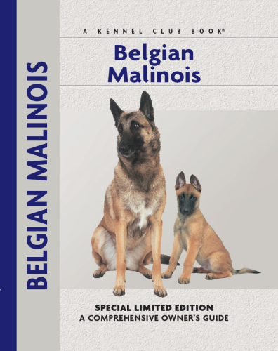 Belgian Malinois